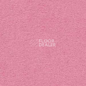 Ковролин Radici Nexus Confetto 8268 фото 1 | FLOORDEALER